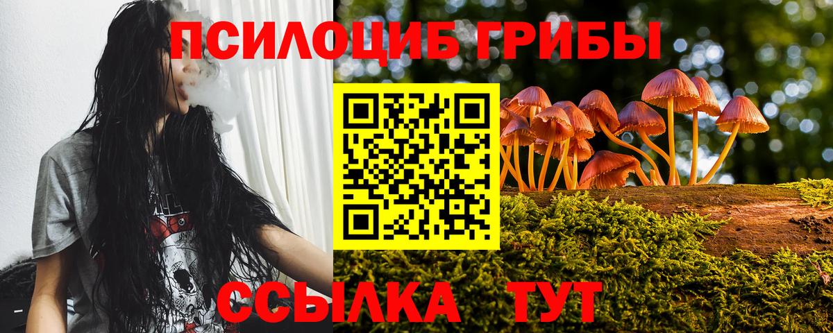 Псилоцибиновые грибы мухоморы Саки