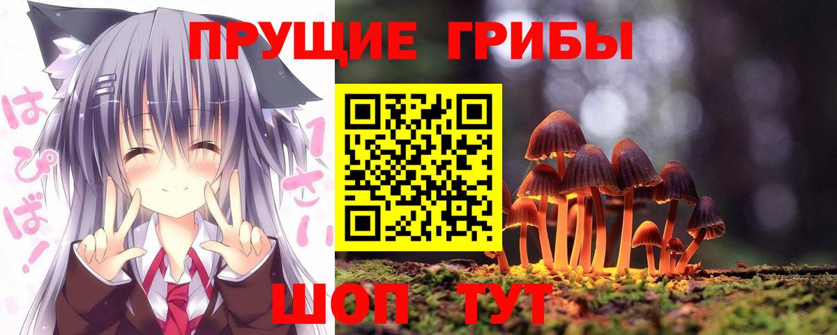 Галлюциногенные грибы GOLDEN TEACHER  Вход с VPN  Псилоцибиновые грибы мицелий  Саки 
